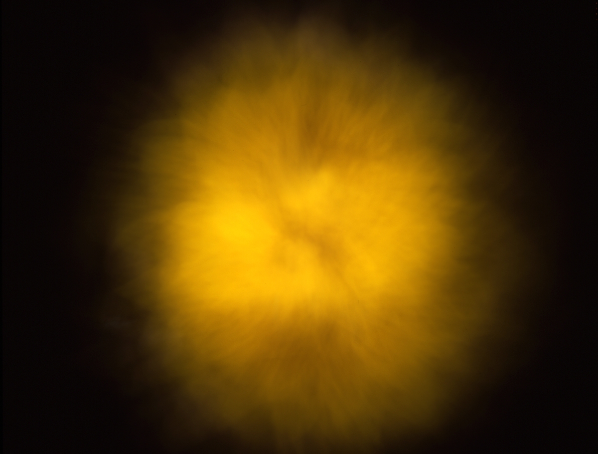 Sun_Scan_2_for-web